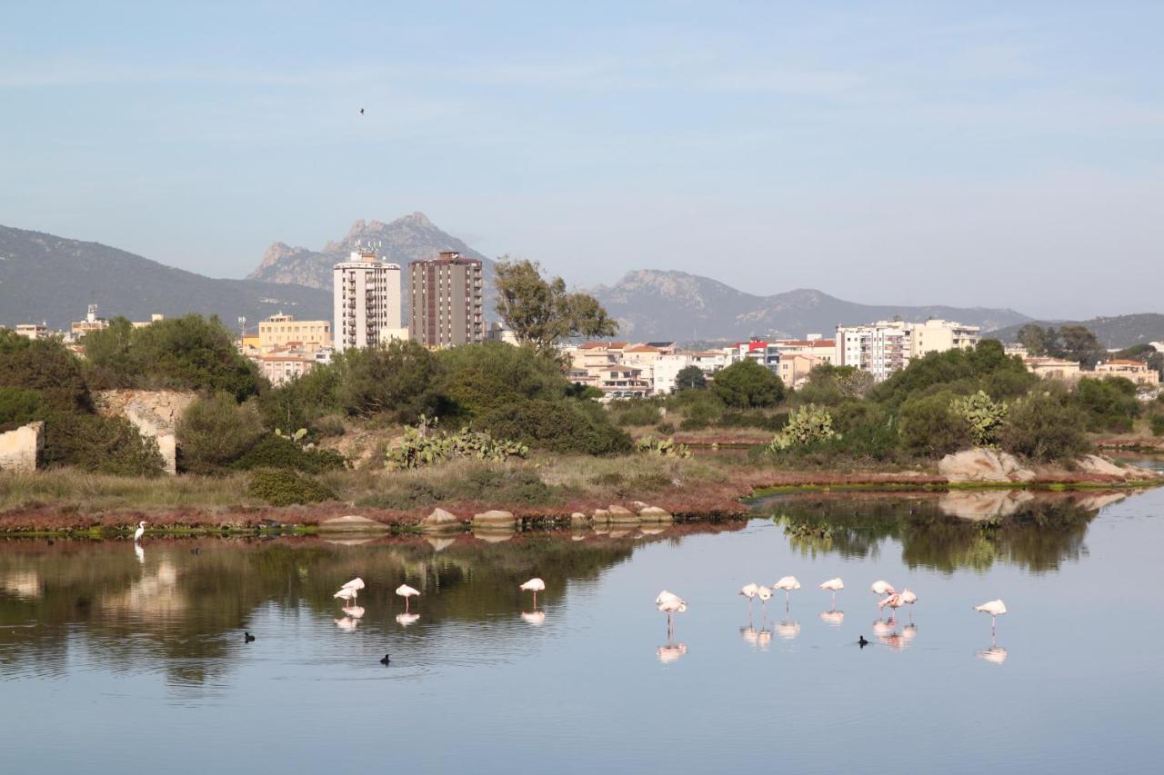 Magibac Due - Casa Vicino Aeroporto E Mater Olbia Apartment Bagian luar foto