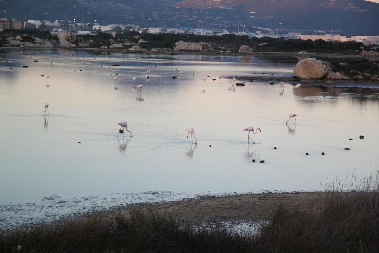 Magibac Due - Casa Vicino Aeroporto E Mater Olbia Apartment Bagian luar foto
