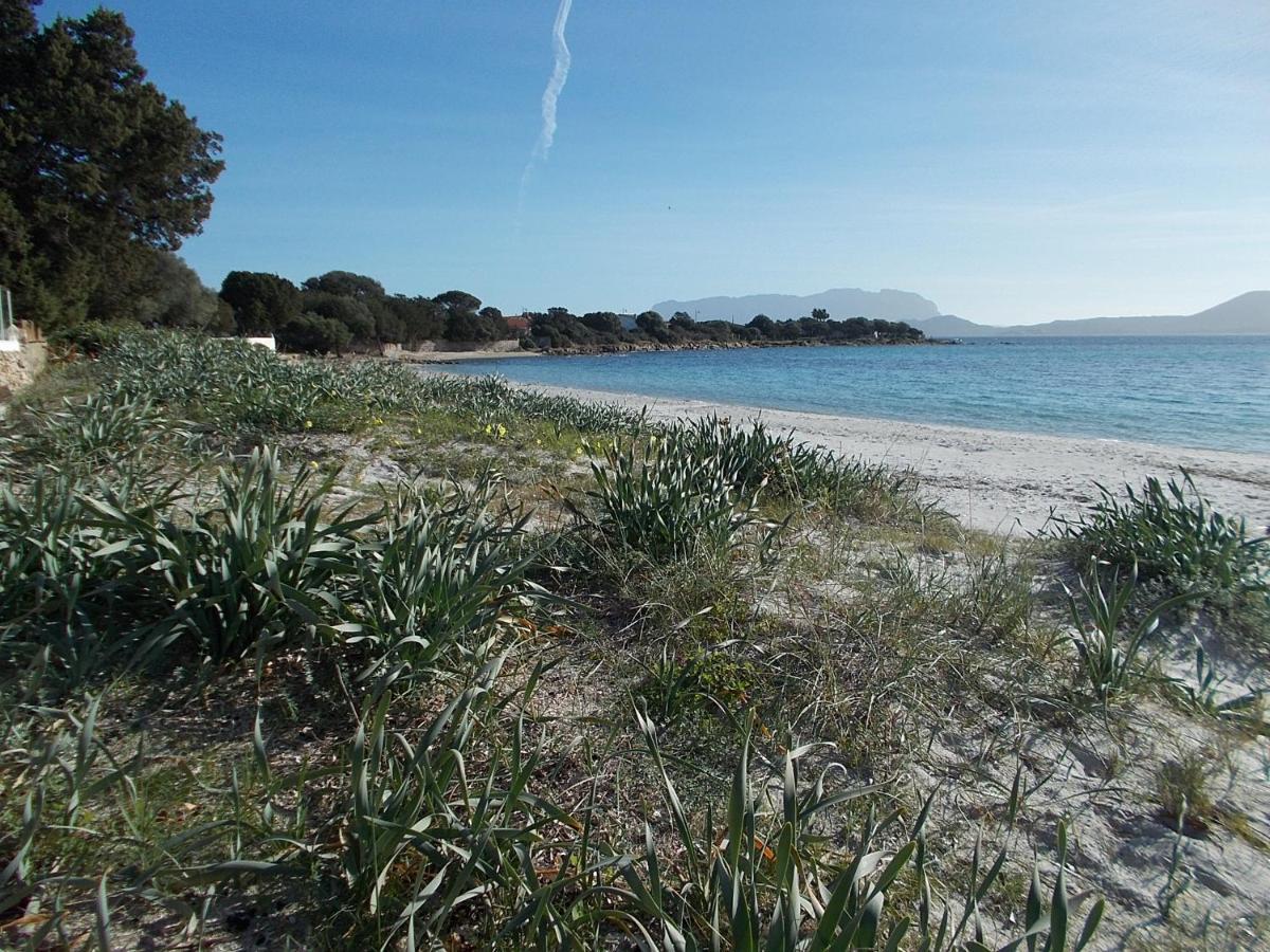 Magibac Due - Casa Vicino Aeroporto E Mater Olbia Apartment Bagian luar foto
