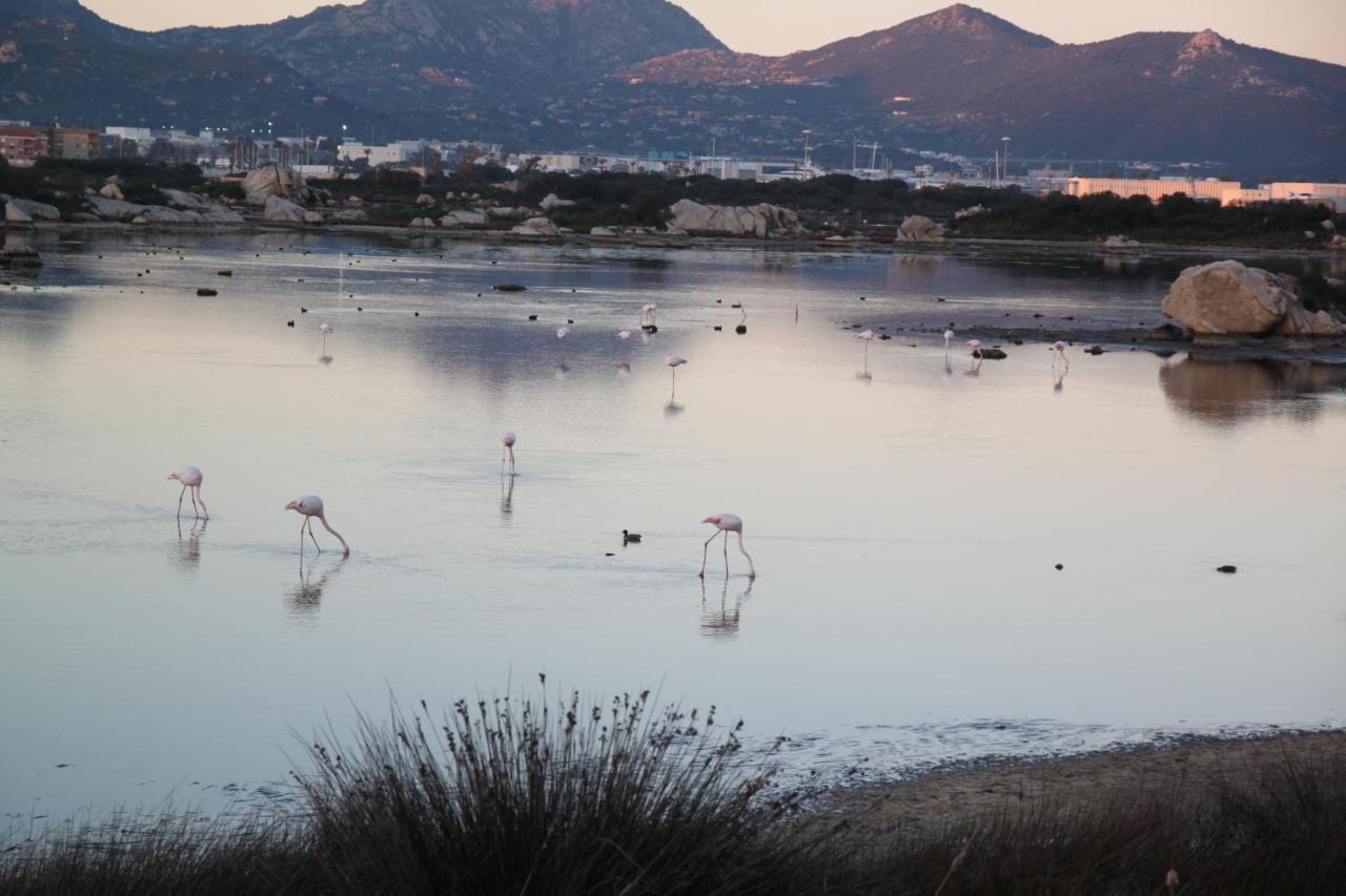 Magibac Due - Casa Vicino Aeroporto E Mater Olbia Apartment Bagian luar foto